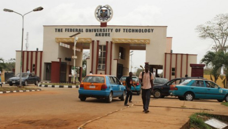FUTA Releases Post-UTME Result for 2026/2027 Admission Session — Check Your Screening Score Online